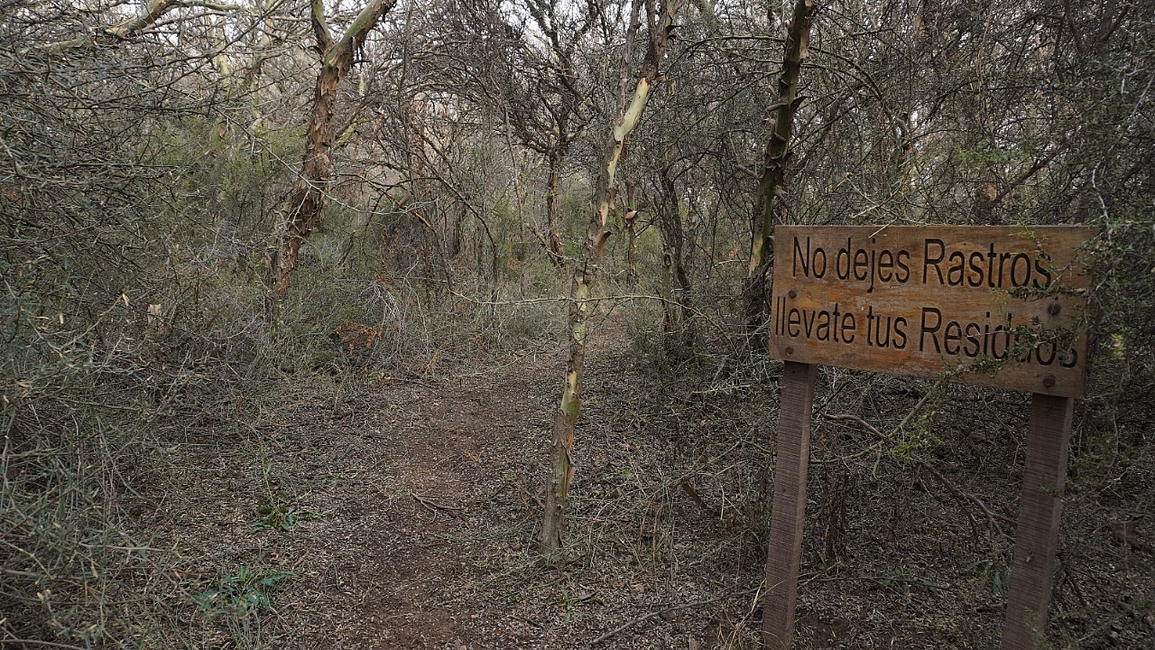 MDN